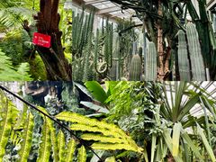 -昆明植物园