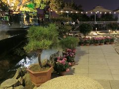 -蘇河湾·新鲁菜·泰山宴(泰山店)