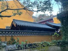 -普陀山雷迪森庄园