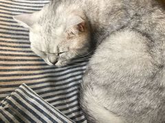-不舍昼夜咖啡馆
