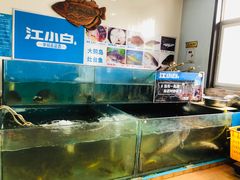 水产区-大鹅岛灶台鱼·铁锅炖(水库路店)