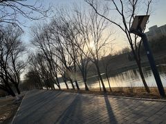 -老杨头烧烤(博烤堂店)