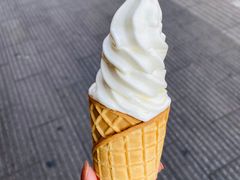 摩天脆脆-蜜雪冰城(东兴街店)