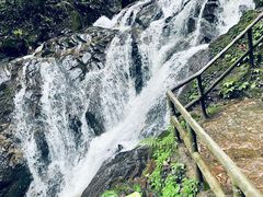 -莫里热带雨林景区