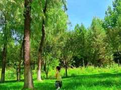 -东升八家郊野公园