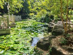 -晓港公园