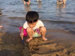 -碧海金沙