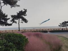 -青岛金沙滩