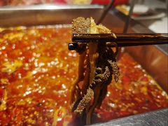 -二荆条·蜀鲜汇城市森林火锅