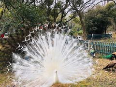 -宁波野生动物园