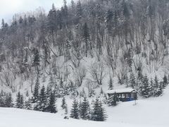 -雪谷