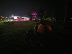 -春花秋色城市公园