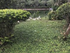 -叶剑英故居