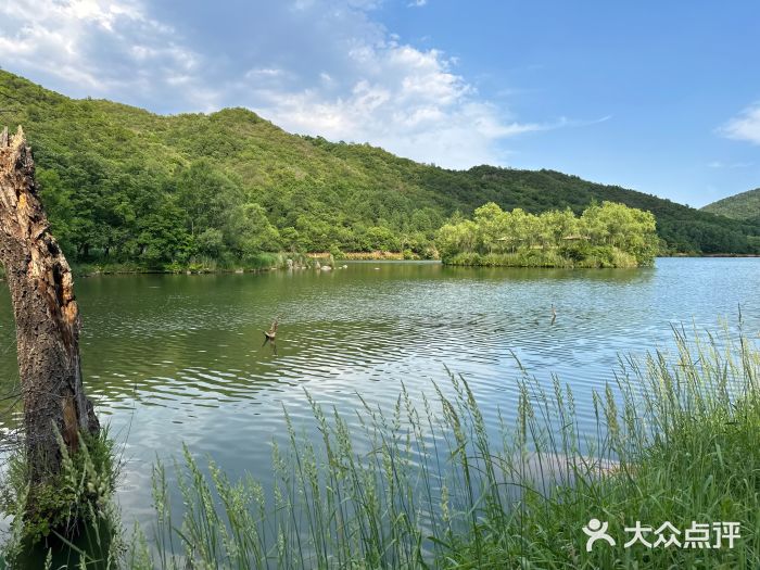 玉渡山自然风景区图片