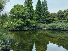 -上海滨江森林公园