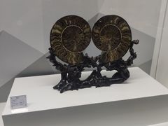 -贝壳王国博物馆