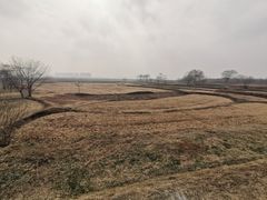 -盘龙城国家考古遗址公园