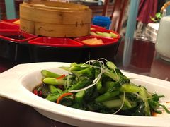 葱油罗马生菜-北平印象.北京烤鸭.新京菜.融合菜(世贸店)