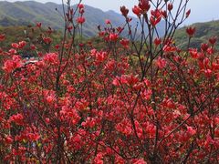 -大围山国家森林公园