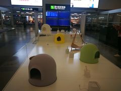 -厦门高崎国际机场-T3航站楼