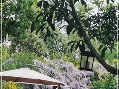 -森居forest休闲咖啡聚集地