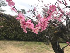 -名古屋城