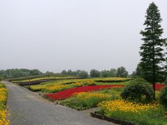 -梁鸿国家湿地公园