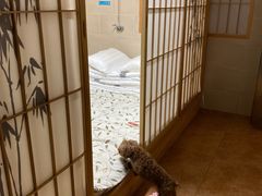 -小时光泳池别墅轰趴