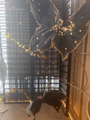 -RUMI日弥美容会所