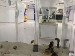 -萌宠奇缘(荣鼎店)