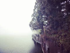 -庐山风景区花径公园