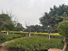 -狐尾山公园
