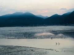 -北岐滩涂