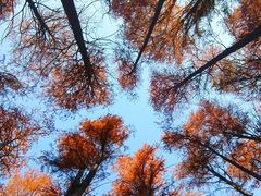 -东湖落雁景区