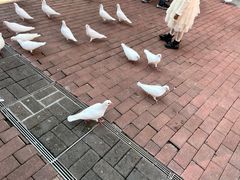 -王府井奥莱临潼小镇(临潼店)