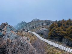 -白草畔自然风景区