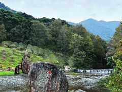 -广州市石门国家森林公园