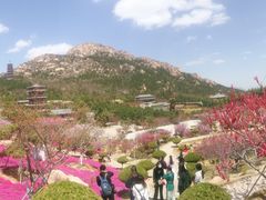 -石岛赤山风景区