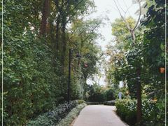 -深圳隐秀山居酒店