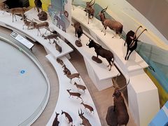 -陕西自然博物馆