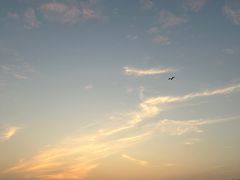 -深圳湾公园(南山区)