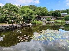 -顺峰山公园