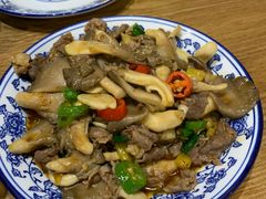 -西北狼(GOGO新天地店)