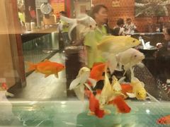 android_upload_pic-问渔烤鱼(回龙观总店)