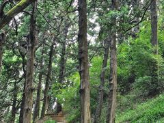 -七曲山风景区