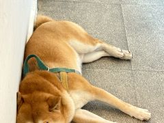 景观位-三目仓咖啡(贤南路店)