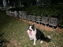 -景田北六街公园宠物主题园