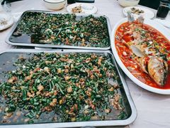 -金水泊山庄·花椒鸡(铁山坪店)