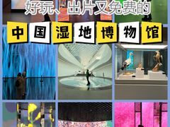 -中国湿地博物馆