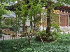 -西湖风景区十里琅珰-五云山